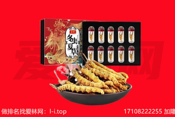 丹东东港市回收虫草.jpg